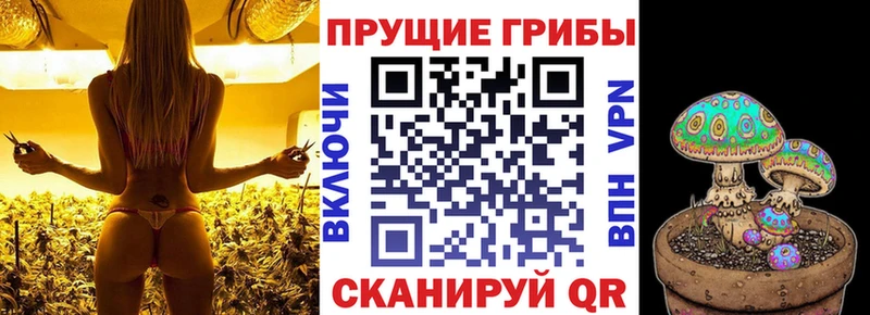 продажа наркотиков  блэк спрут tor  Галлюциногенные грибы Cubensis  Старая Купавна 