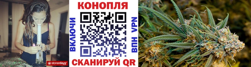 Бошки марихуана конопля  мега онион  Старая Купавна  купить наркотик 